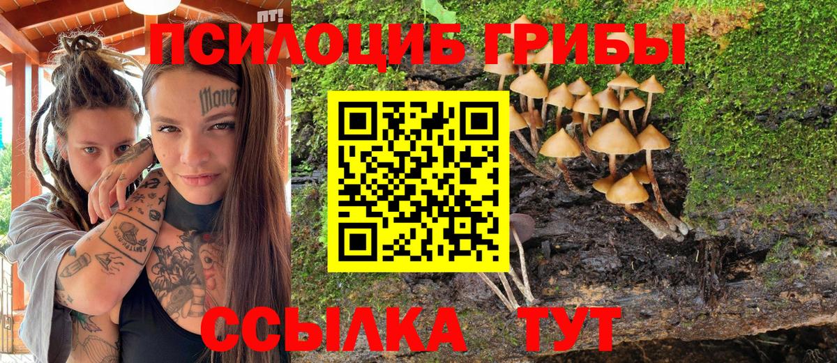 Галлюциногенные грибы Cubensis Тавда