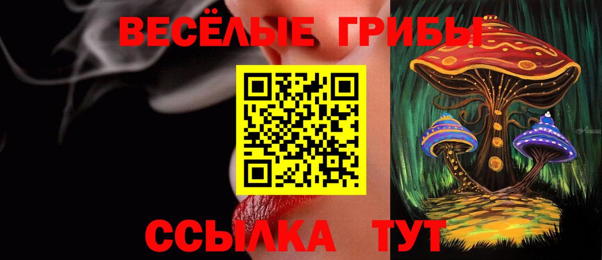 Псилоцибиновые грибы ЛСД  Вход с VPN  Тавда 
